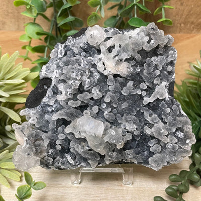 Apophyllite
