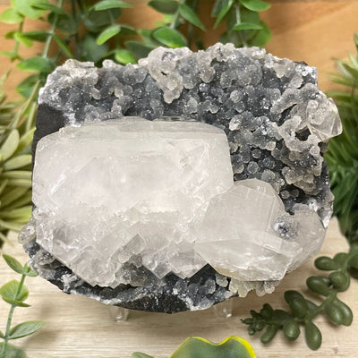 Apophyllite