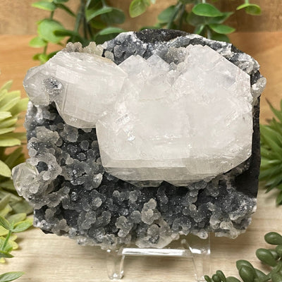 Apophyllite