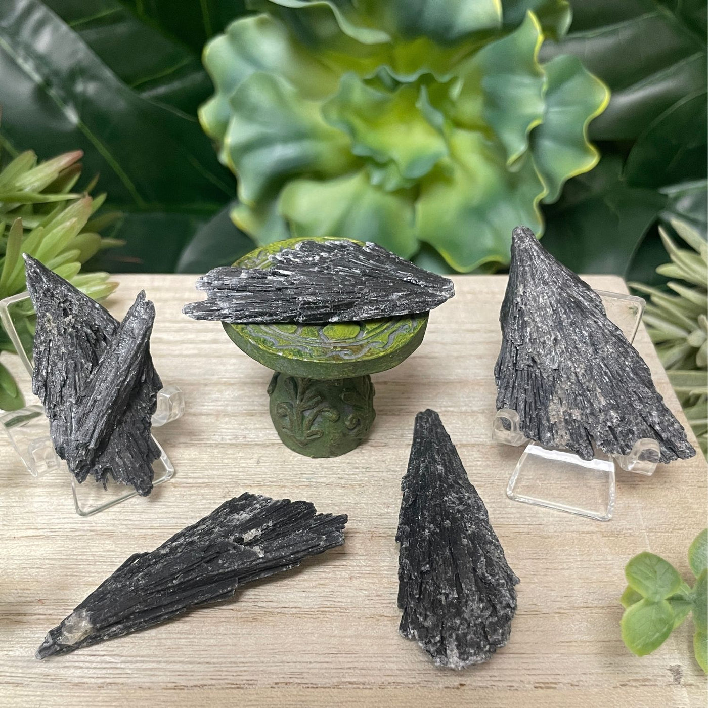 Black Kyanite - Fan