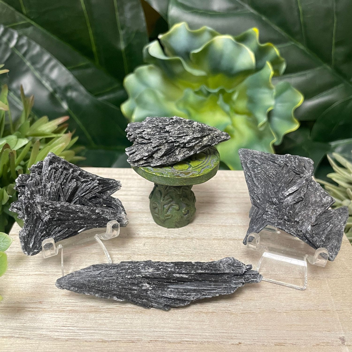 Black Kyanite - Fan