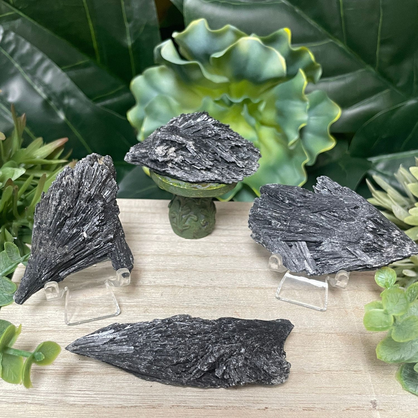 Black Kyanite - Fan