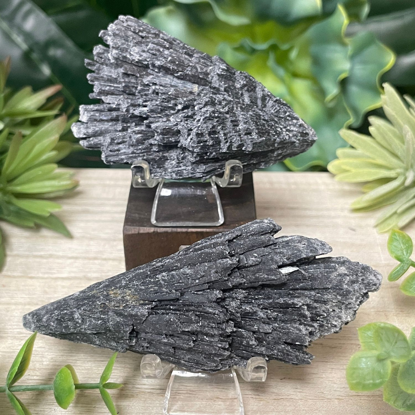 Black Kyanite - Fan