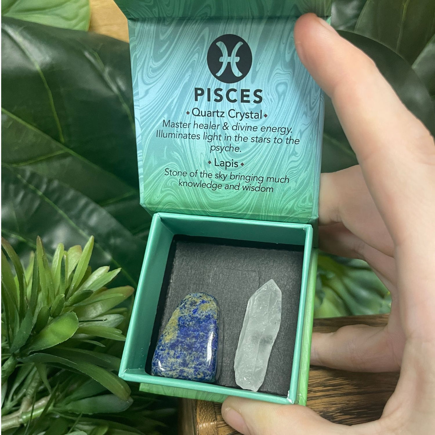 Pisces - Zodiac Collection Crystal Kit