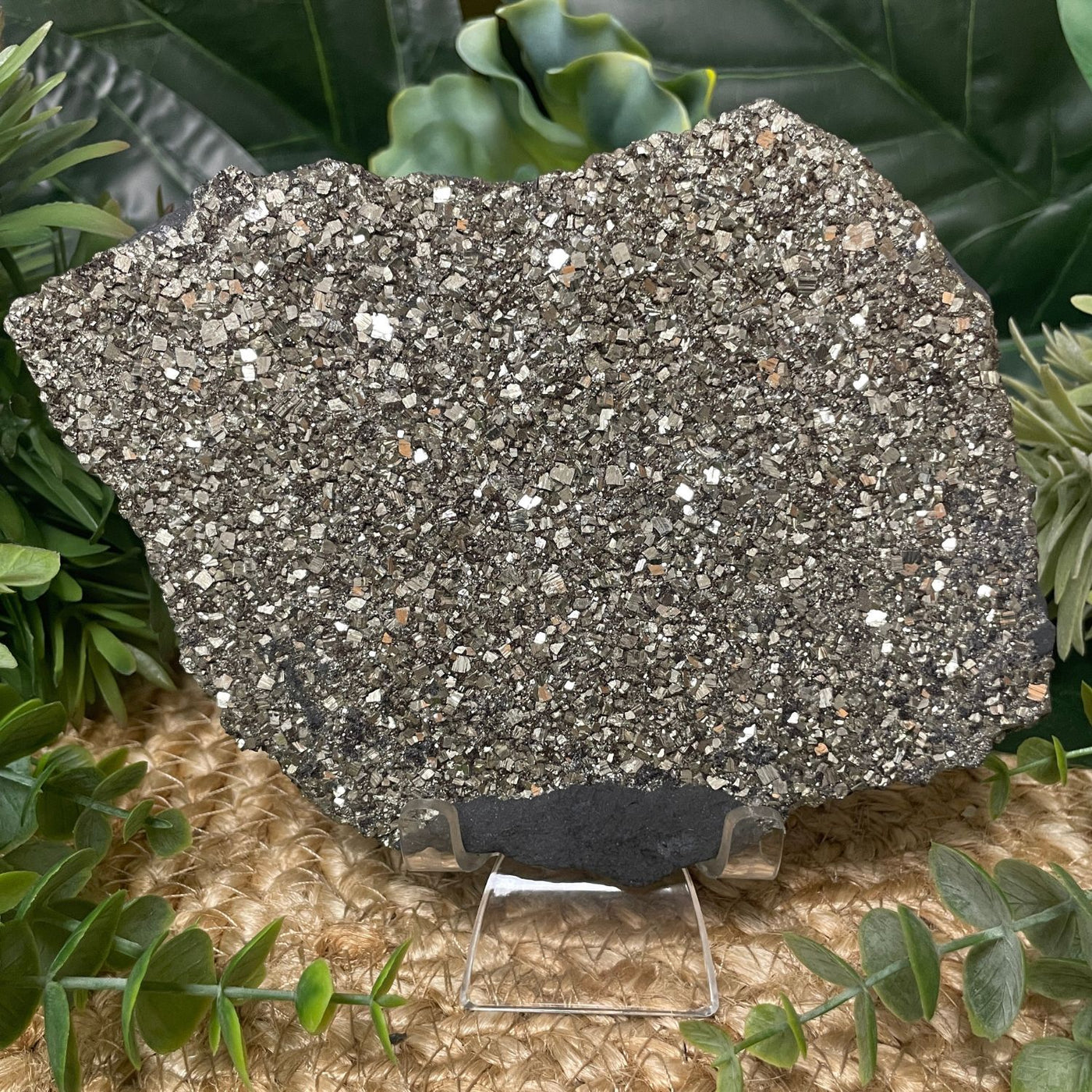 Pyrite on Shungite