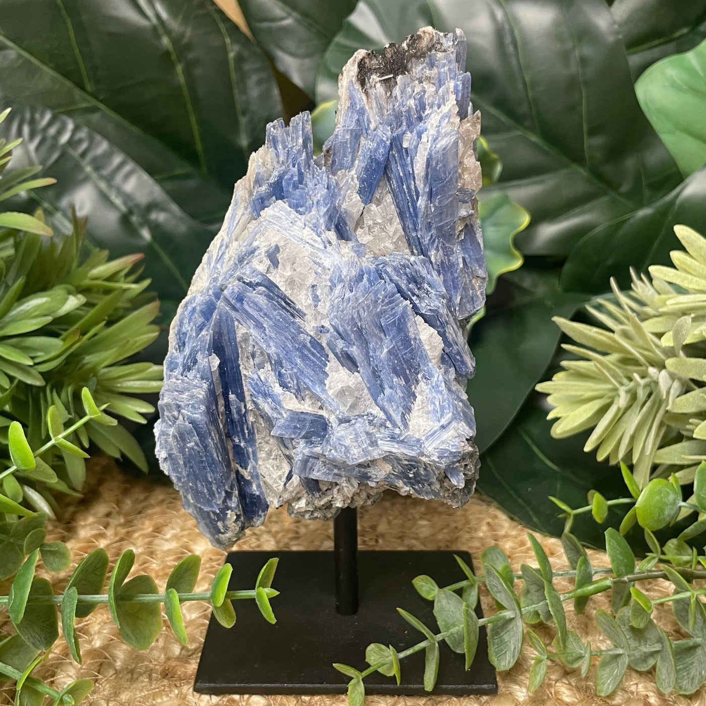Blue Kyanite - On Stand