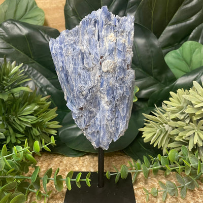 Blue Kyanite - On Stand