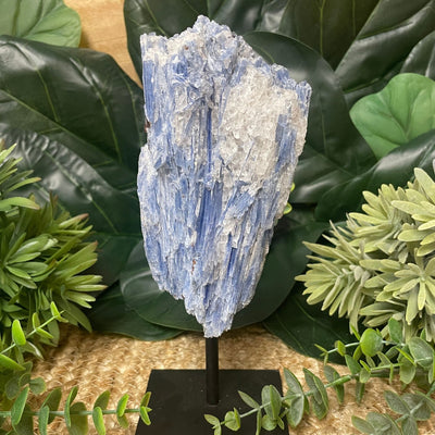 Blue Kyanite - On Stand