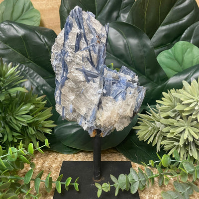 Blue Kyanite - On Stand