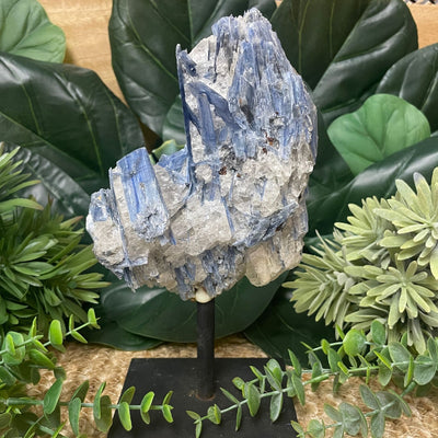 Blue Kyanite - On Stand