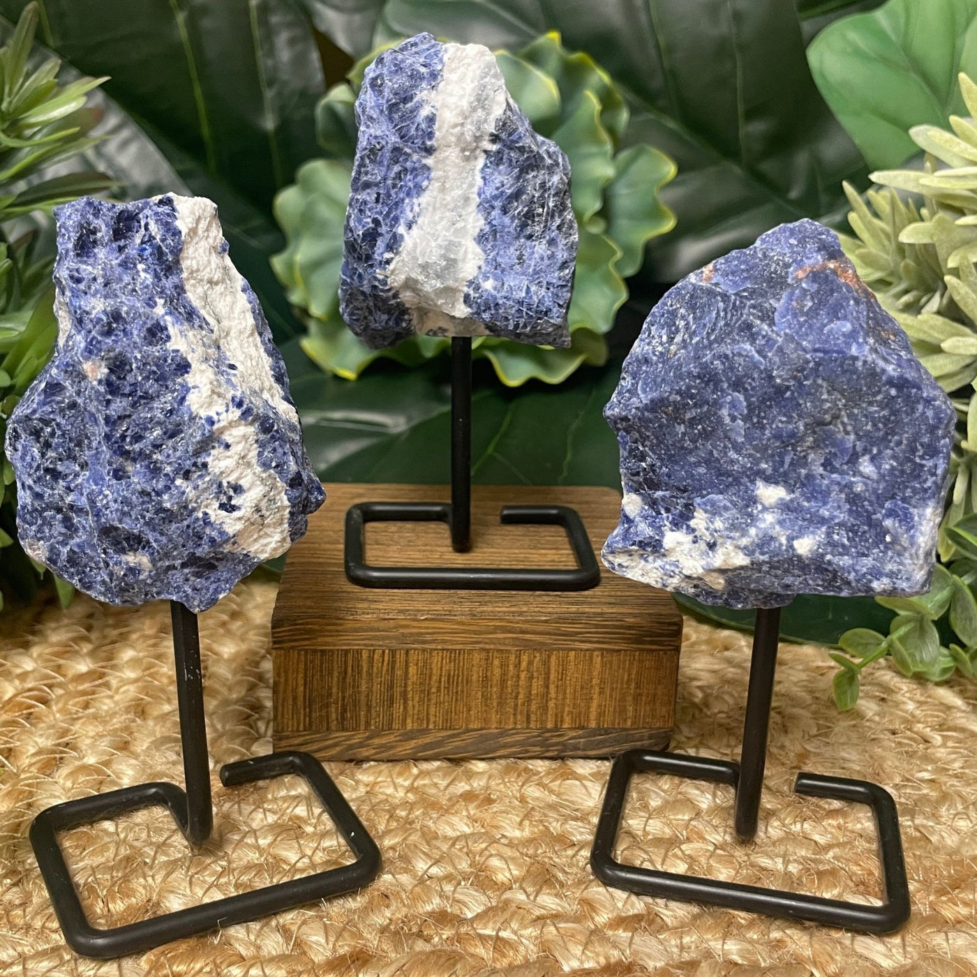 Sodalite - On Stand