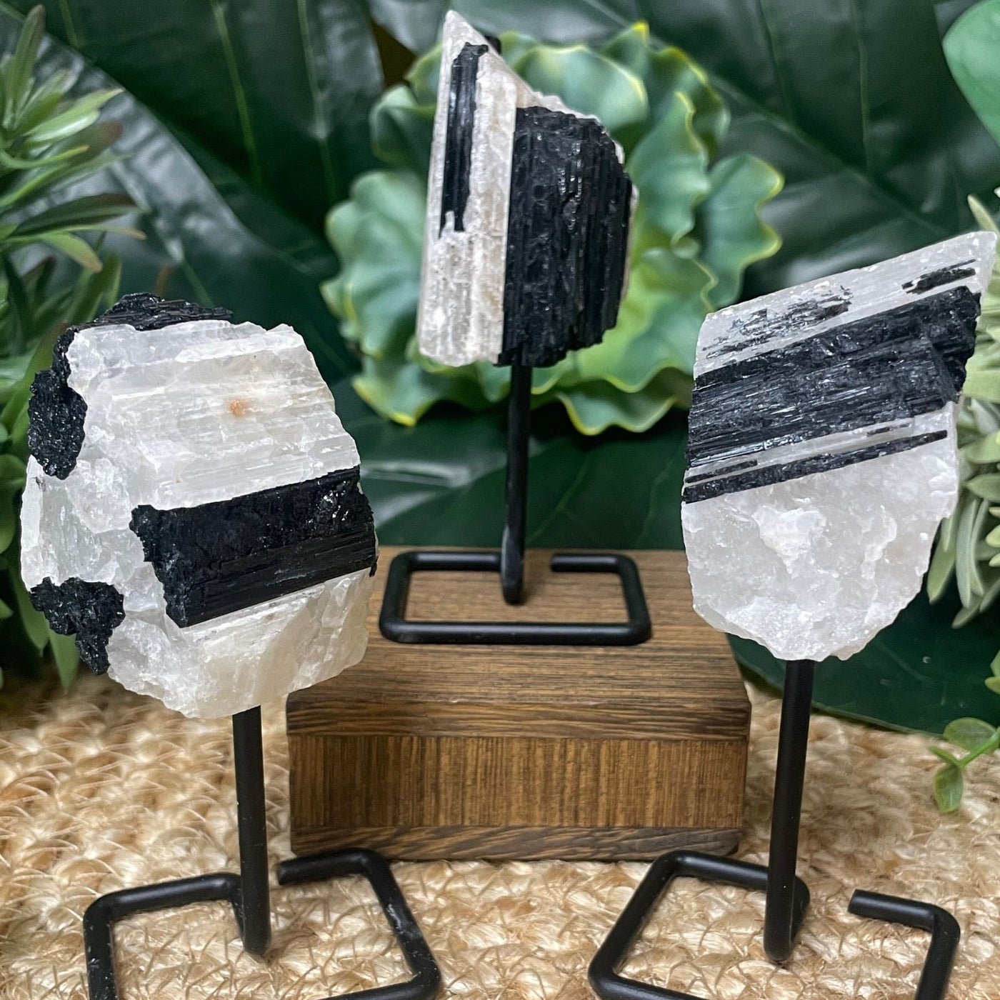 Black Tourmaline in Quartz - On Stand